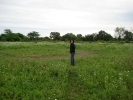 Gabriel in a field